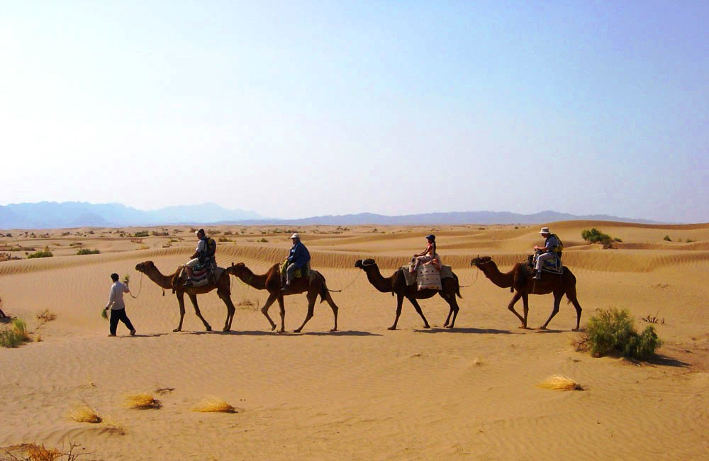 Camel riding in Iran